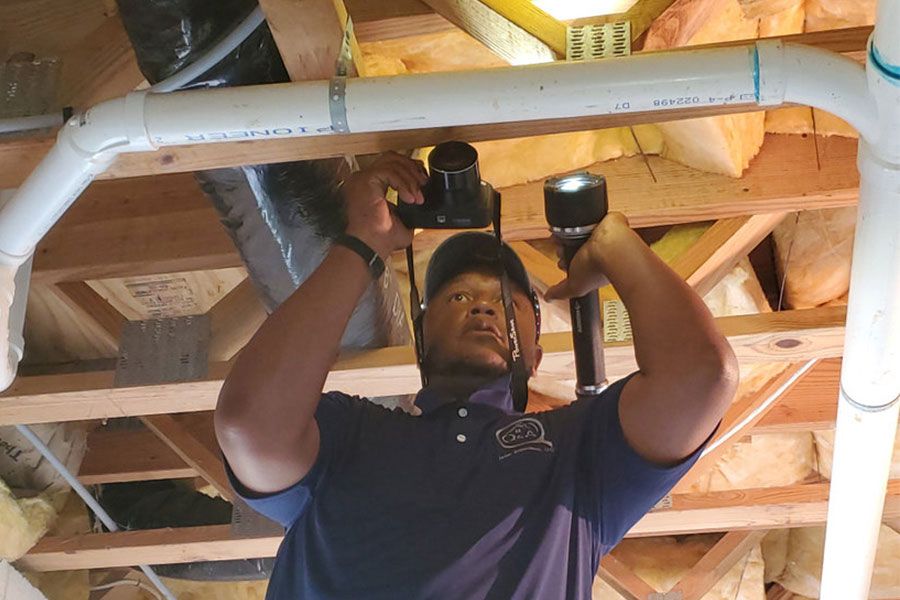 home-inspector-doing-a-pest-inspection-at-basement-ceiling-climax-nc